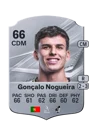 Gonçalo Nogueira - 66 - Rare