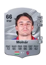 Molnár - 66 - Rare