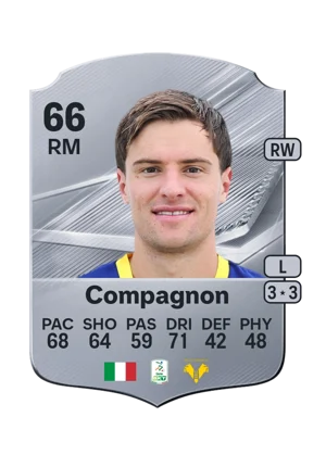 Compagnon - 66 - Rare EA FC 27 card