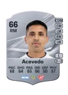 Acevedo - 66 - Rare