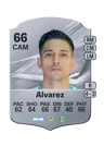 Álvarez - 66 - Rare
