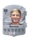 Marshall - 66 - Rare