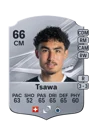 Tsawa - 66 - Rare