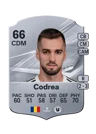 Codrea - 66 - Rare