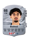 Badwal - 66 - Rare