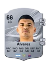 Álvarez - 66 - Rare