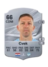 Cvek - 66 - Rare