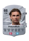 Freundlich - 66 - Rare