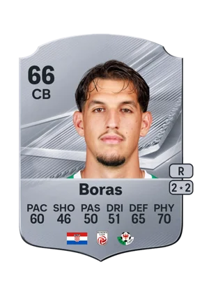 Boras - 66 - Rare EA FC 27 card