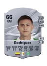 Rodríguez - 66 - Rare