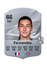 Fernandes - 66 - Rare