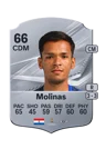 Molinas - 66 - Rare