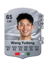 Wang Yudong - 65 - Rare