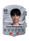 Yang Mingyang - 65 - Rare
