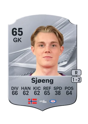Sjøeng - 65 - Rare EA FC 27 card