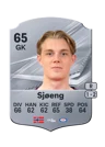 Sjøeng - 65 - Rare
