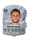Gattermayer - 65 - Rare