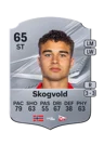 Skogvold - 65 - Rare