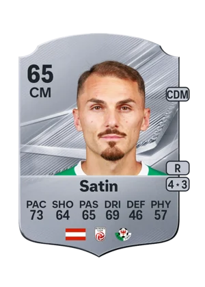Satin - 65 - Rare EA FC 27 card