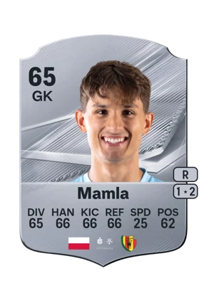 Mamla - 65 - Rare EA FC 27 card