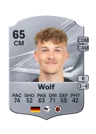Wolf - 65 - Rare