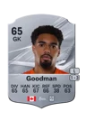 Goodman - 65 - Rare