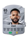 Zaid - 65 - Rare