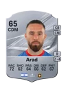 Arad - 65 - Rare
