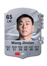 Wang Jinxian - 65 - Rare
