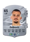 Zeljković - 65 - Rare