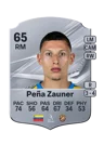 Peña Zauner - 65 - Rare