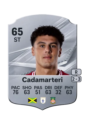 Cadamarteri - 65 - Rare EA FC 27 card