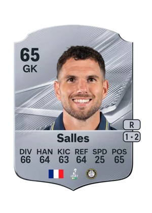 Salles - 65 - Rare EA FC 27 card