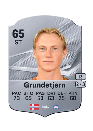Grundetjern - 65 - Rare EA FC 27 card