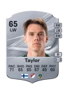 Taylor - 65 - Rare