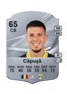 Căpușă - 65 - Rare