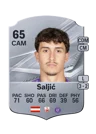 Šaljić - 65 - Rare
