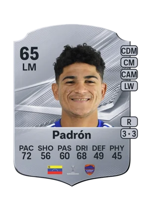 Padrón - 65 - Rare EA FC 27 card