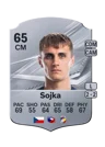 Sojka - 65 - Rare