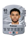 Palmer - 65 - Rare