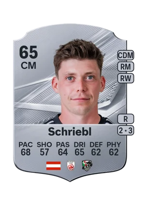 Schriebl - 65 - Rare EA FC 27 card