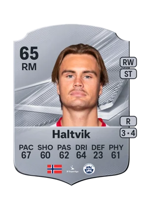 Haltvik - 65 - Rare EA FC 27 card