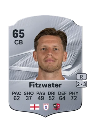 Fitzwater - 65 - Rare EA FC 27 card