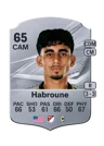 Habroune - 65 - Rare