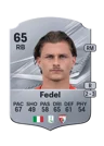 Fedel - 65 - Rare