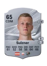 Sulzner - 65 - Rare