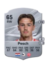 Pesch - 65 - Rare