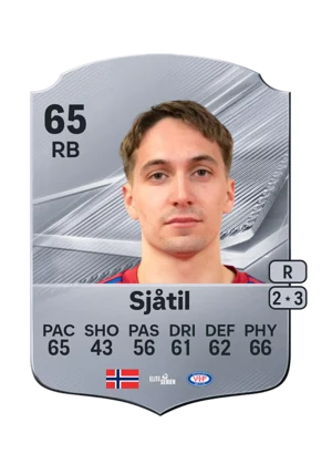Sjåtil - 65 - Rare EA FC 27 card