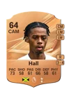 Hall - 64 - Rare
