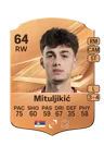 Mituljikić - 64 - Rare